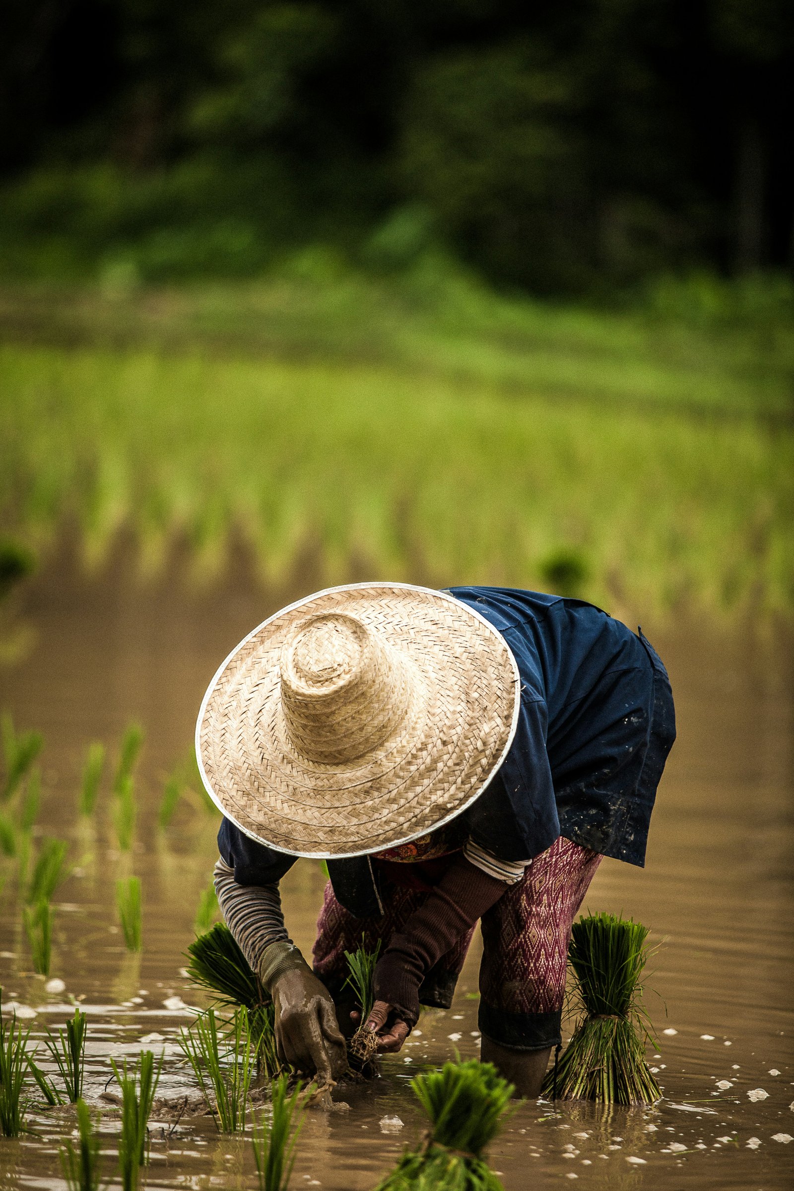 Crop protection chemicals